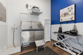 Pet spa